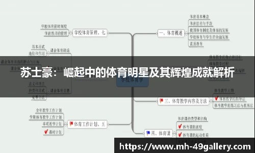 苏士豪：崛起中的体育明星及其辉煌成就解析